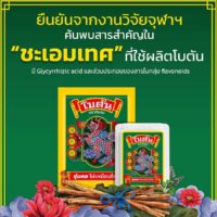 Botan Original Herbal Mouth Freshener