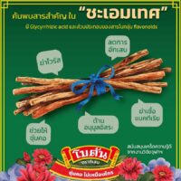 Botan Original Herbal Mouth Freshener