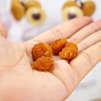 Nana Fruits Dehydrated Golden Longan 70g