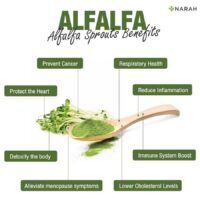 Narah ALFALFA Juice Powder 30g