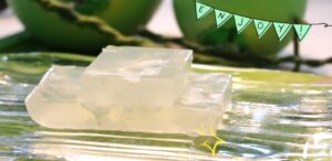 Lobo Agar Dessert Mix Jasmin Flavor