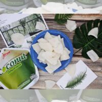 JFruit Dehydrated coconut low sugar