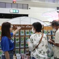 Jia Tai Seed OP (Open Pollinated Variety) is a mixed breed by natural breeding.