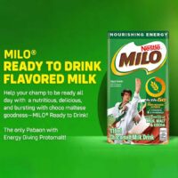MILO Activ-Go UHT Milk Chocolate Malt Flavor 160ml x 48