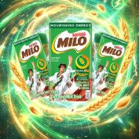 MILO Activ-Go UHT Milk Chocolate Malt Flavor 160ml x 48